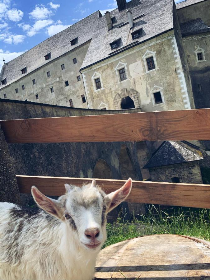 Burg Altpernstein Hotel Micheldorf in Oberösterreich Eksteriør billede