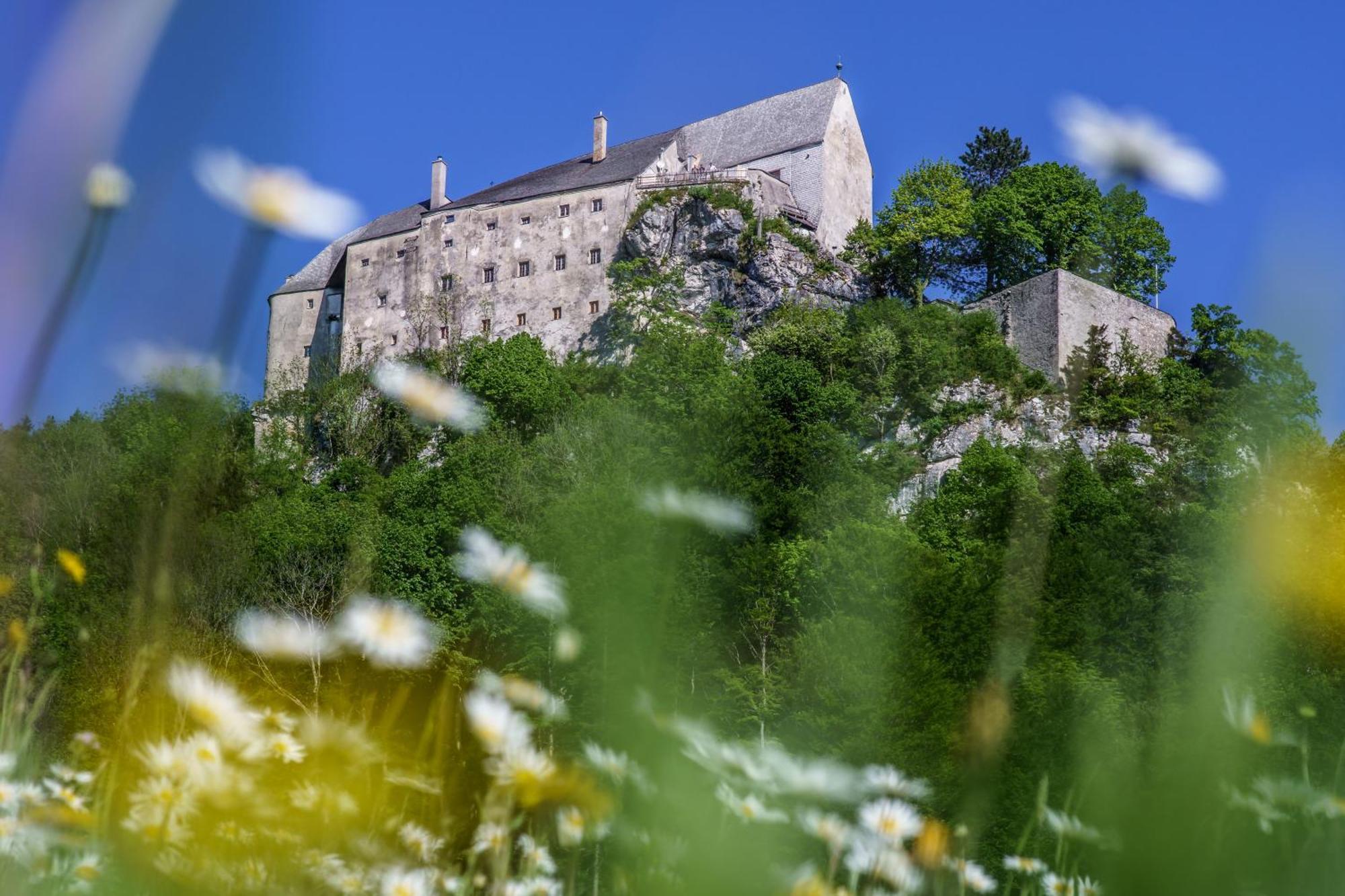 Burg Altpernstein Hotel Micheldorf in Oberösterreich Eksteriør billede